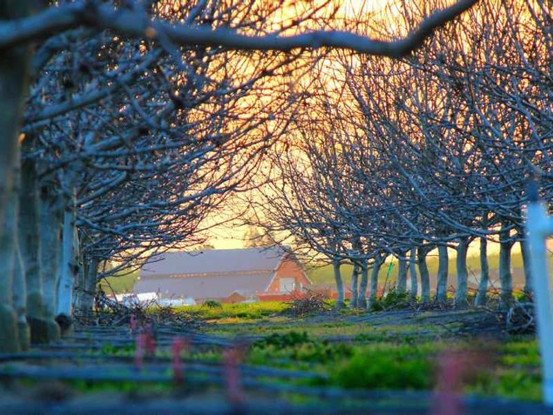 Sports Trivia Championship #12