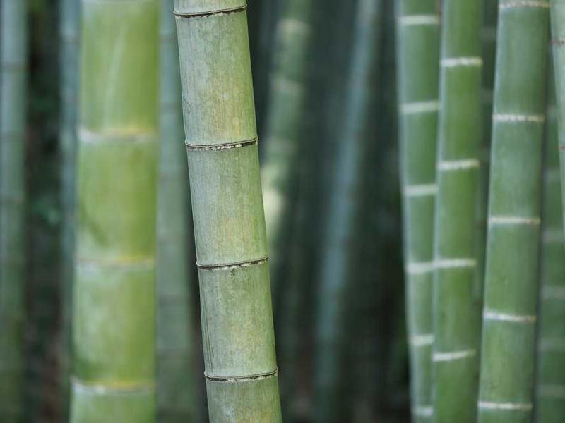 World Geography Master Quest #19