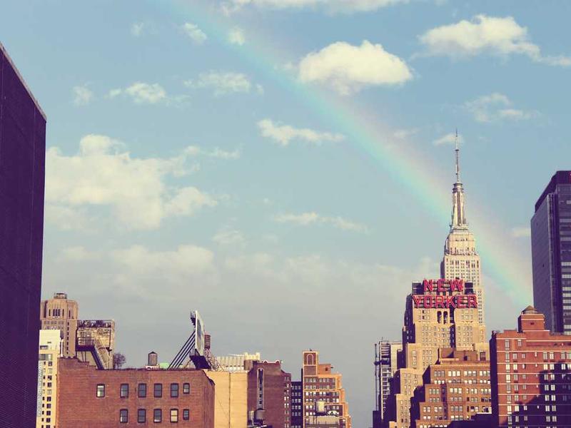 Food & Cooking Championship #20