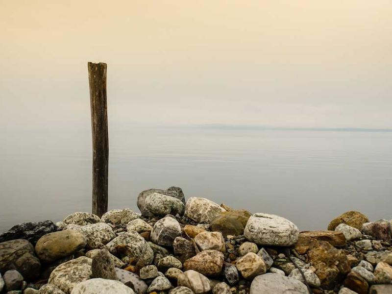 Sports Trivia Championship #22